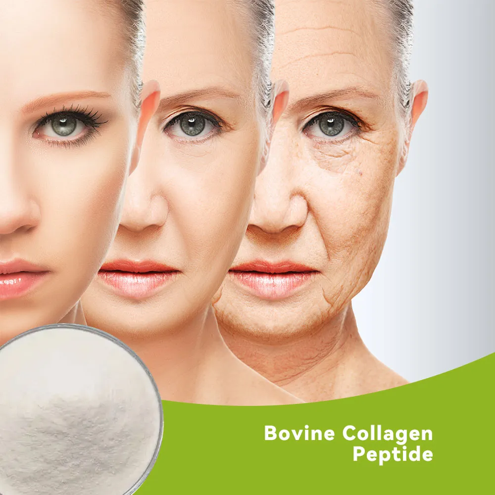 Bovine Collagen Peptide
