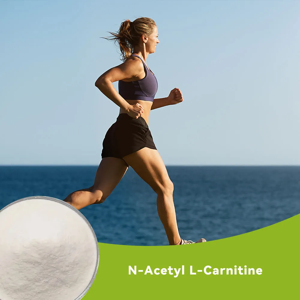 N-Acetyl L-Carnitine