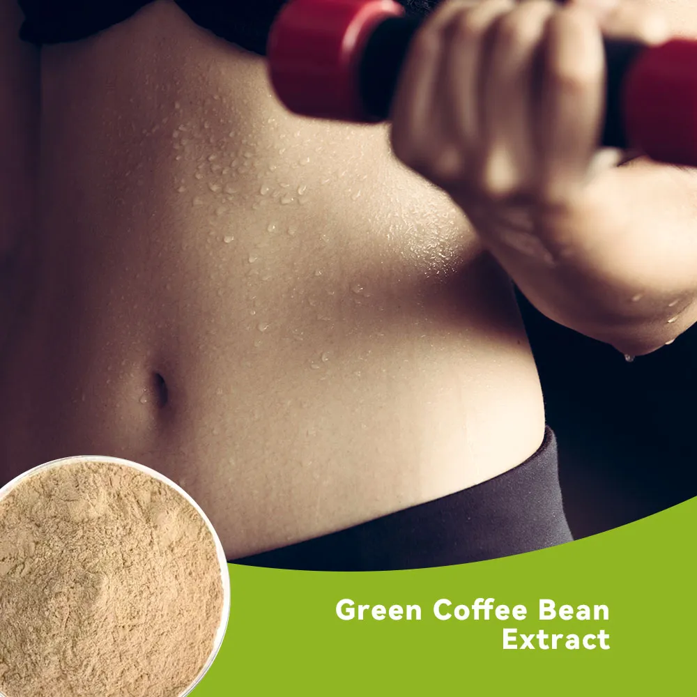 Green Coffee Bean Extract